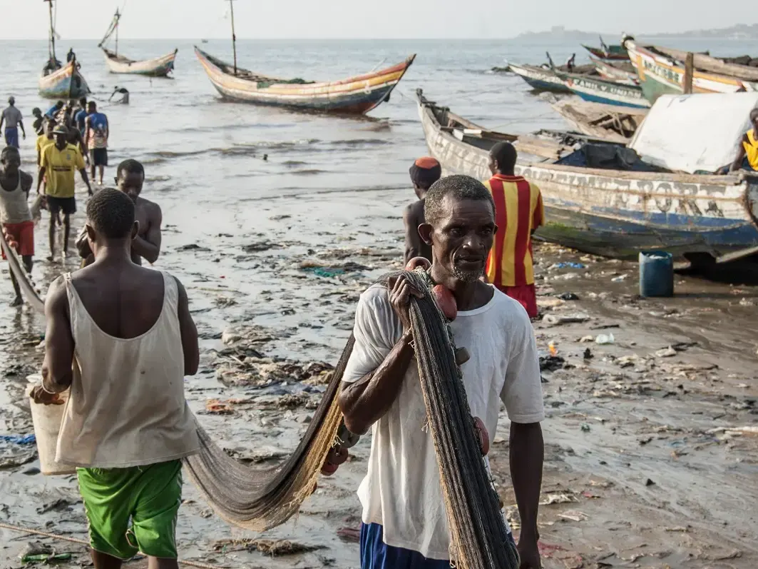 Sierra Leone sahilinde ağlarını taşıyan yerel balıkçılar ve ahşap balıkçı tekneleri